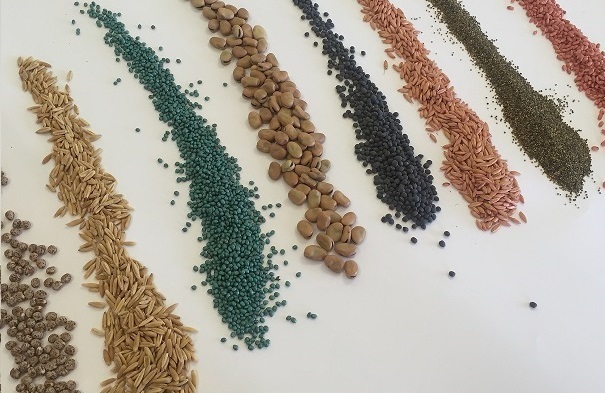 Baker Seed Co, Seed Varieties, Wheat, Barley, Oats, Pulse, Canola, Seed Treatments, Seed Coating, Processing, Trial Seed, Cropping, Contract Processing