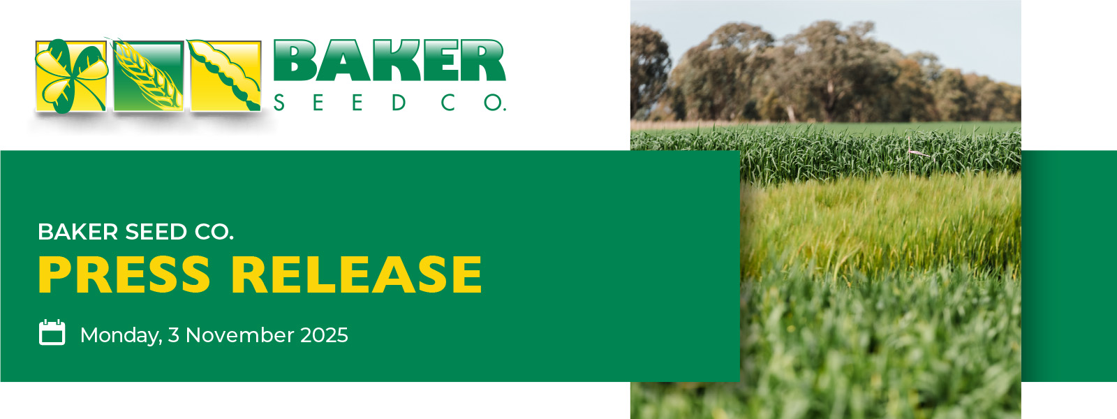 BSC Press Release (3 Nov 2025) Baker Seed Co., Press Release, News, Andrew Russell