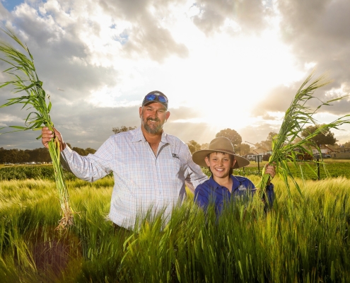 Aaron Giason, Baker Seed Co, and son Teddy presented a range of cereal and pulse varieties for inspection at the agronomy plots at last year’s field days.