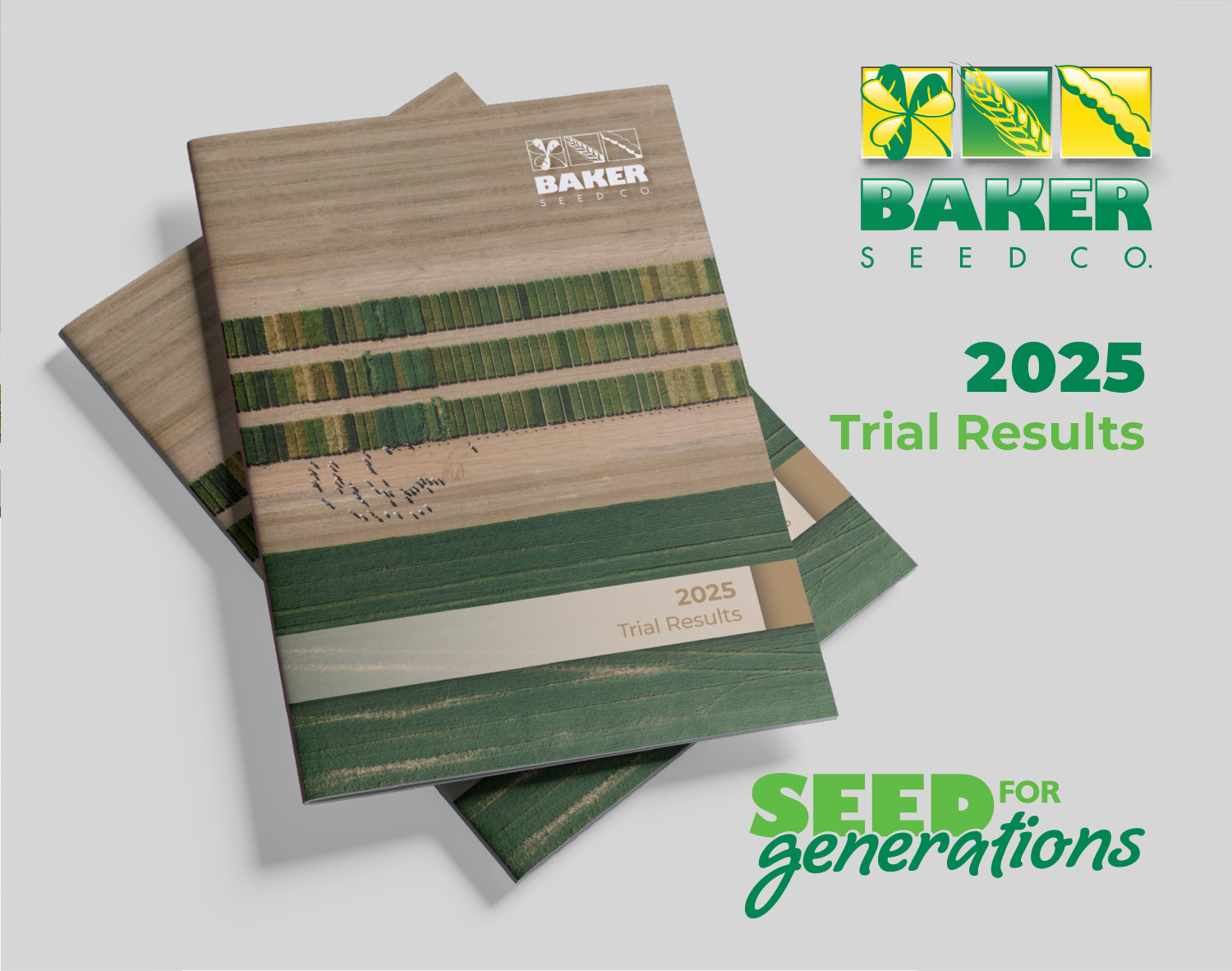 2025 cereal trial results plots showing wheat, barley and oats varieties at Rutherglen Victoria